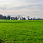 Preparare il prato all'inverno cosa fare in autunno