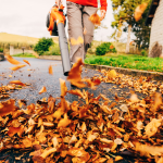 Soffiatore per foglie come scegliere quello giusto per il tuo giardino